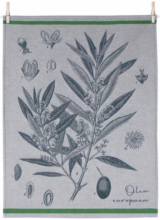 Tissage Moutet Tea Towel - Olea Europaea - European Olive